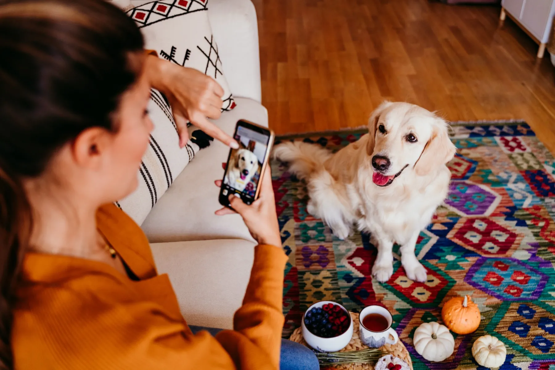 Eine Frau fotografiert ihren Golden Retriever auf einem bunten Teppich im Wohnzimmer.