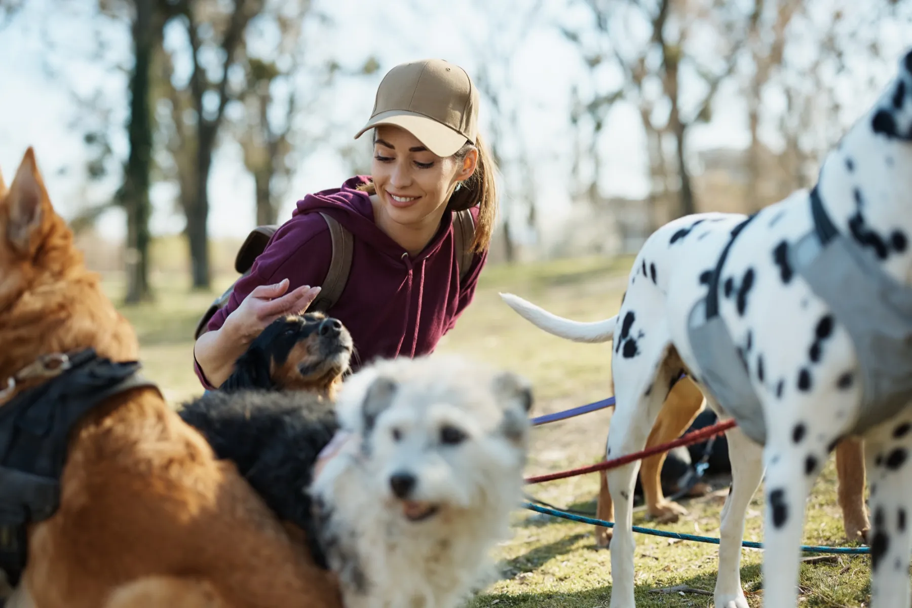 Eine Dogwalkerin mit Basecap streichelt im Park lachend einen ihrer Hunde, ringsum stehen weitere Hunde an der Leine.