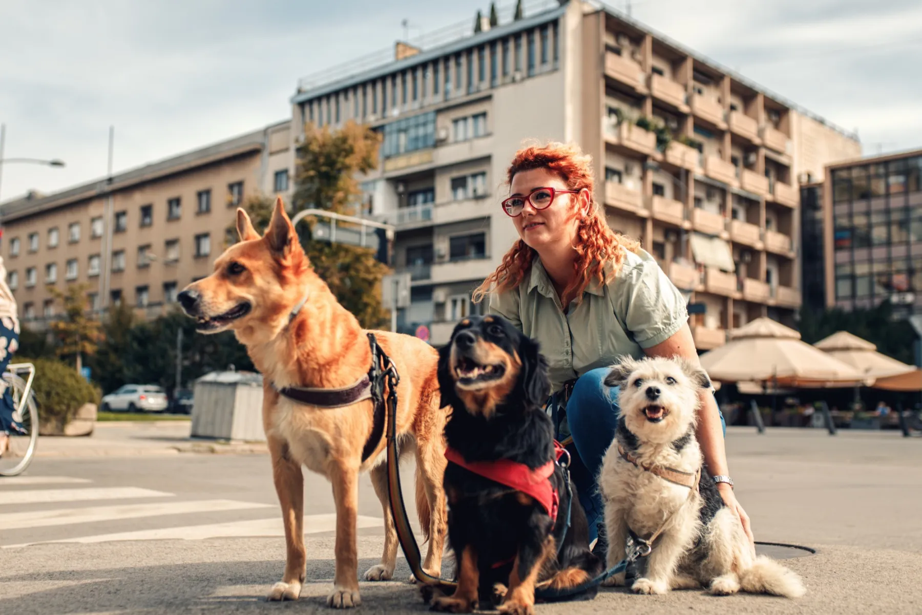 Eine Frau mit roten Locken hockt mit drei Hunden auf einem Platz in der Stadt.