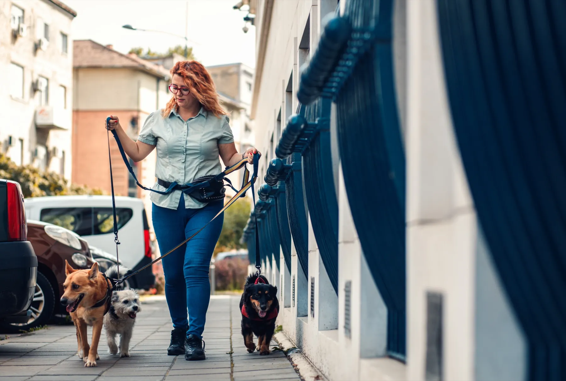 Eine Frau mit roten Locken und Brille spaziert mit drei Hunden an der Leine durch einen herbstlichen Park.